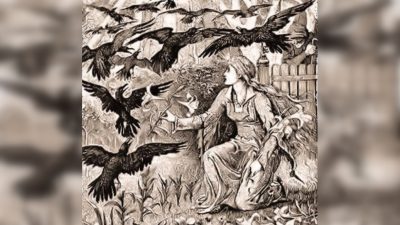 Сказка братьев Гримм «Двенадцать братьев»