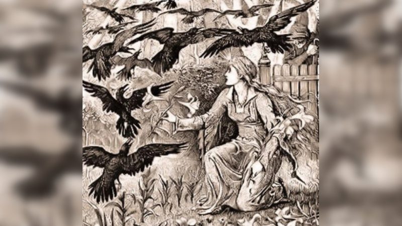 Иллюстрация Генри Джастиса Форда к сказке братьев Гримм «Двенадцать братьев». В сказке братья превращаются в 12 воронов. (Public Domain)