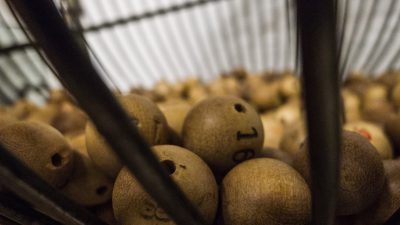 Нейросеть помогла россиянке выиграть в лотерею 36 млн рублей