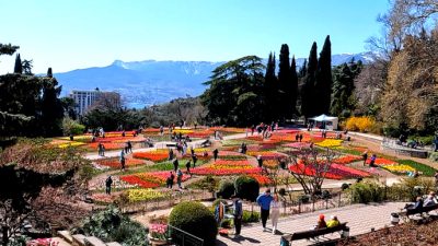 Генерал «Солнечный пояс» на Параде тюльпанов 2025 в Никитском саду, Ялта