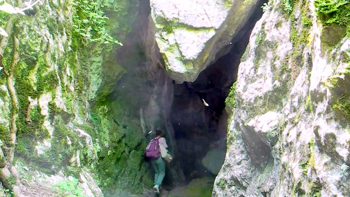 Романтический Массандровский замок, Сад ароматов и старинный грот