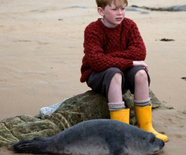 Очень трогательный фильм о трагической любви: «Сияние радуги»