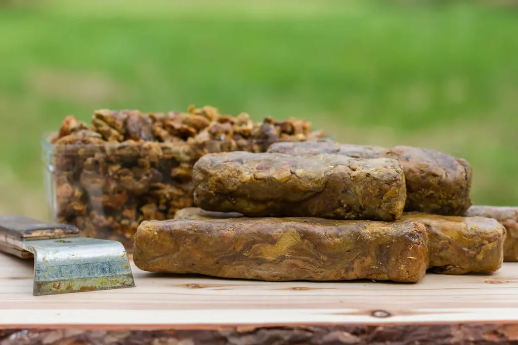 Исчезают пчёлы, которые отвечают за нашу еду и натуральные лекарства