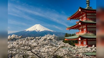 Столпы честности: взгляд на японское общество