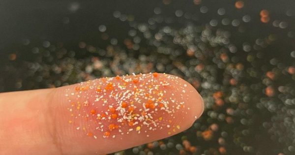 Какая еда может привести к слабоумию?