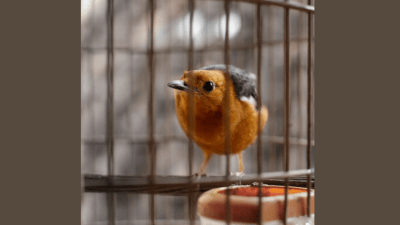 Приглашение. Рассказ