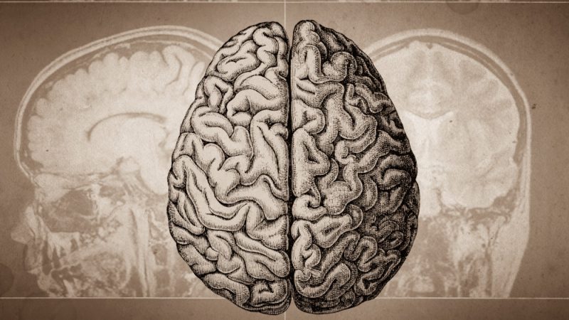 С возрастом мы сталкиваемся с риском снижения когнитивных способностей, но естественные методы, такие как богатые флавоноидами продукты и классическая музыка, обеспечивают защиту и поддержку здоровья мозга. (Triff via Shutterstock) | Epoch Times Россия