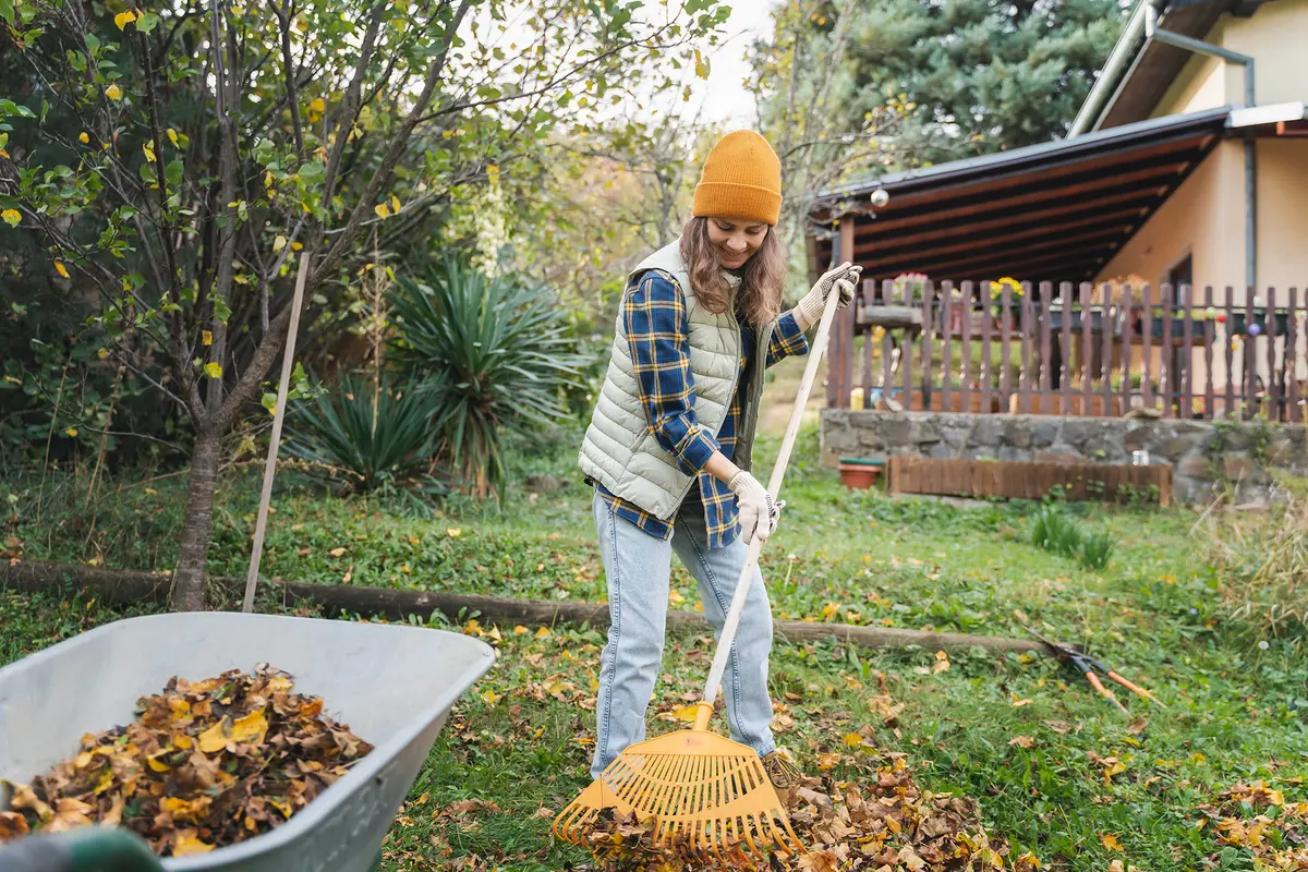 Жить и работать без ИИ и бытовой техники — руками, головой и сердцем