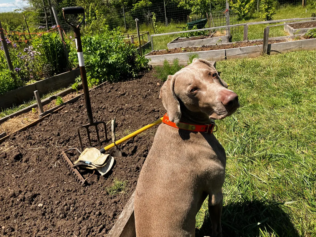 Жить и работать без ИИ и бытовой техники — руками, головой и сердцем