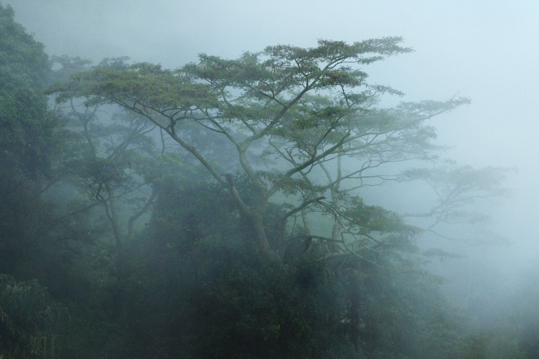 Предупреждение Короля Драконов: история о гордыне и божественном возмездии