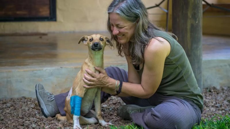 Невероятный дух Поппи не просто исцелил сердца, но и нашёл ей новый дом. Подруга Аманды Мэрибет Хастингс, живущая в Вашингтоне, округ Колумбия, забрала её к себе. (Amanda Stronza) | Epoch Times Россия