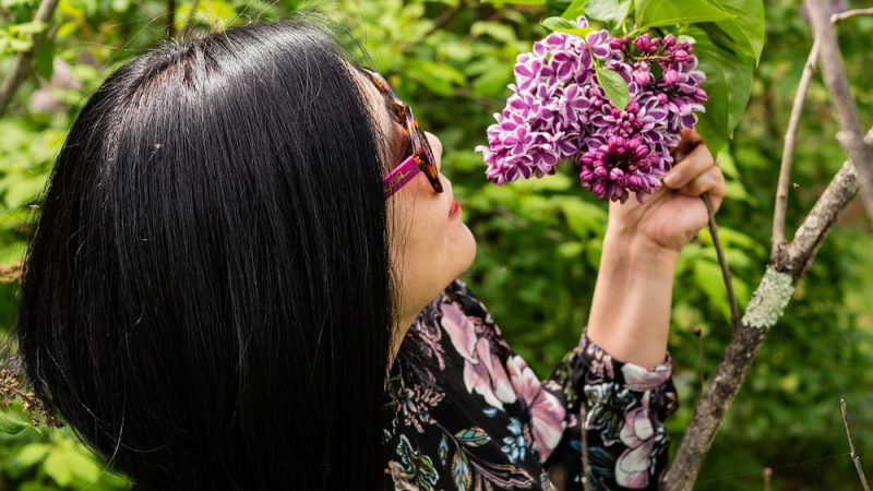 Как хорошо подышать свежим воздухом на природе! (Pixabay) | Epoch Times Россия