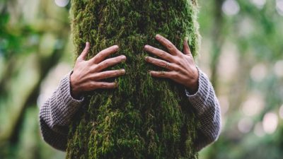 Натуральное средство для успокоения эмоций: обнимите дерево