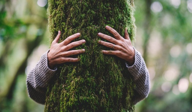 Тихое объятие с деревом становится секретным средством борьбы со стрессом среди молодых людей. (Image: via Shutterstock) | Epoch Times Россия