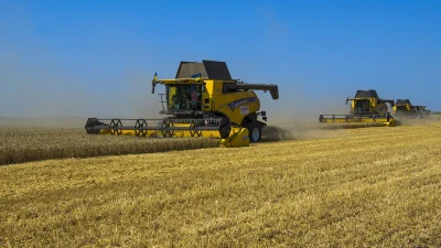 Ставрополье укрепляет надежды на урожай российской пшеницы, несмотря на засуху в Ростове