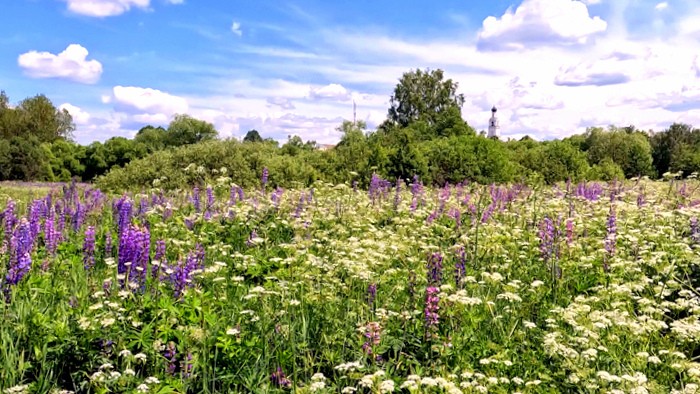 Узорный Киржач — место традиций и туристического притяжения. Золотое кольцо России