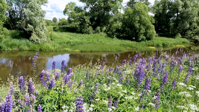 Узорный Киржач — место традиций и туристического притяжения. Золотое кольцо России