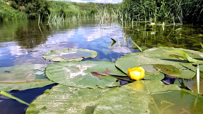 Узорный Киржач — место традиций и туристического притяжения. Золотое кольцо России