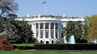 Бой за пояс UFC пройдёт на лужайке Белого дома, заявил Трамп
