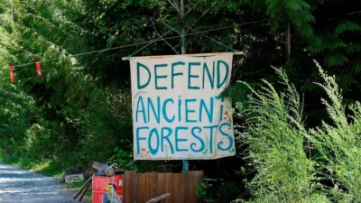 Фильм Fairy Creek о подавлении протестов экологов-хиппи против вырубки леса в Канаде
