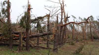 Последствия разрушительных ураганов в Подмосковье и Ярославле