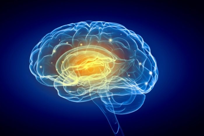 Скрытые сигналы подсознания: загадочное шестое чувство