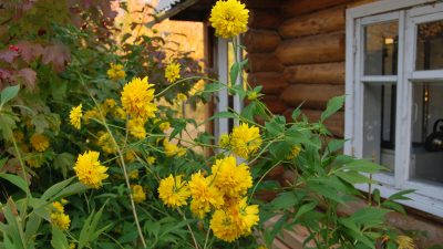 Конец дачному бизнесу: с 1 сентября СНТ станут зоной без коммерции