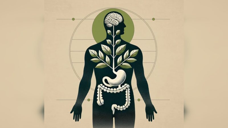 (epoch.org.il)  | Epoch Times Россия