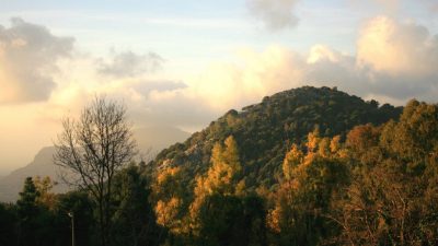 Как преодолеть жизненные трудности: урок старого монаха