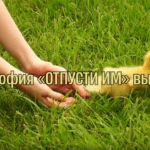 Философия «Отпусти» выручает