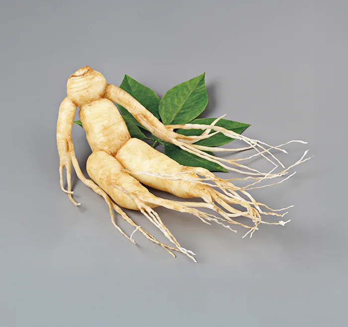 Доктрина сигнатуры: когда природа имеет свой фирменный стиль