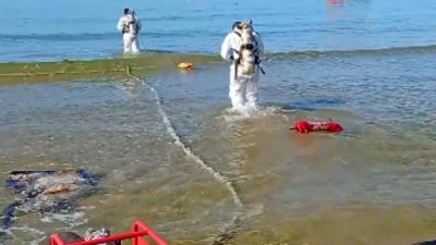Завершена очистка от мазута морского дна у берегов Анапы (видео)