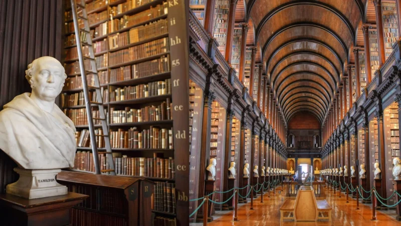 Хотя историю часто забывают в угоду новому и инновационному, она всегда будет источником мудрости. (Shutterstock) | Epoch Times Россия