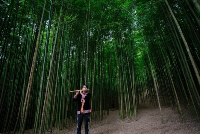 Мудрость медленного роста и внезапных прорывов