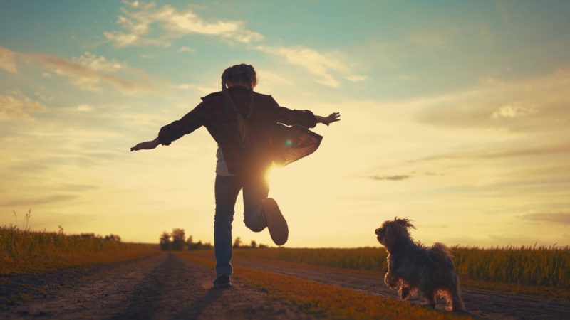 То, чего действительно желают все родители – мирная жизнь для своего ребёнка. (maxim ibragimov via Shutterstock) | Epoch Times Россия