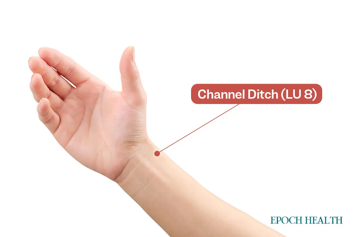 Варикозное расширение вен? Традиционная китайская медицина может помочь (рецепт)