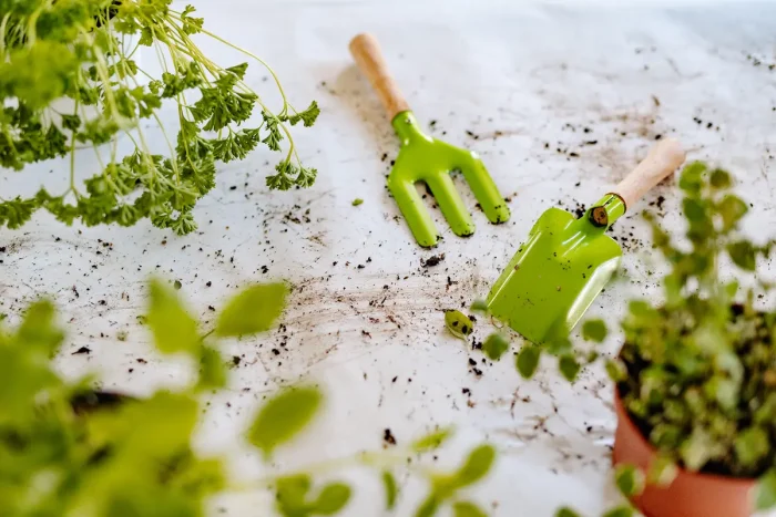 Знакомство детей с садоводством