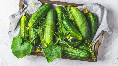 Экологическое питание: огурцы — это вкусно!