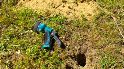 Как бороться с бурундуками, мышами и другими вредителями