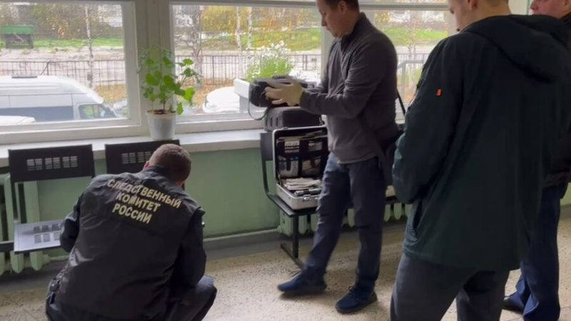 Скриншот/ СУ СК РФ по Архангельской области и Ненецкому автономному округу | Epoch Times Россия