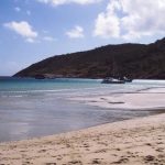 Трагедия в круизе за $80 000: туристку забыли на острове Барьерного рифа