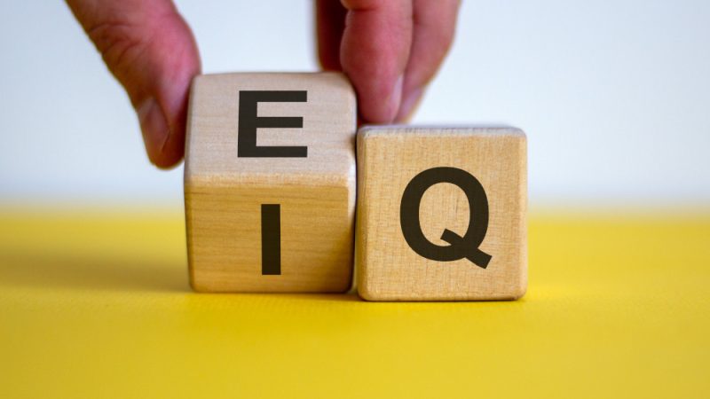 Исследования показывают, что эмоциональный интеллект (EQ), набор приобретаемых навыков, составляют до 80% успеха человека, значительно превосходя IQ. (Dmitry Demidovich via Shutterstock)
