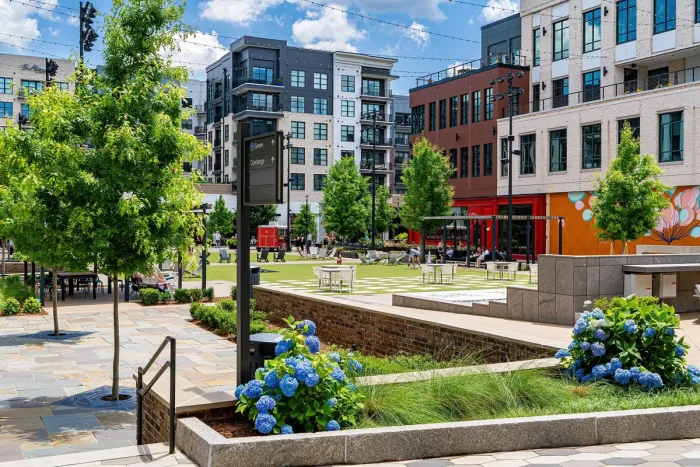 В защиту красоты в наших городах