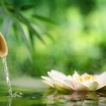 «Высшее благо подобно воде»: диалог между мудрецом и торговцем