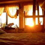 Скрытый питательный элемент: почему современная жизнь лишает нас света