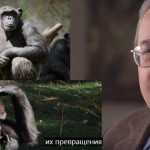 Разоблачение теории эволюции: профессор Майкл Бихи говорит о разумном замысле