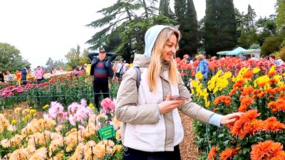 Бал хризантем «Осеннее танго» в Никитском саду, Ялта, Крым