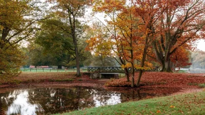 Харриет Софи Касвелл: «Размышления об осени»