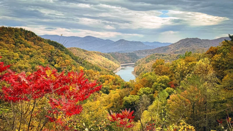 «Осень» Вивальди: послушайте сегодня