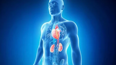 Новый синдром поражает 90% американцев, но мало кто знает о нём